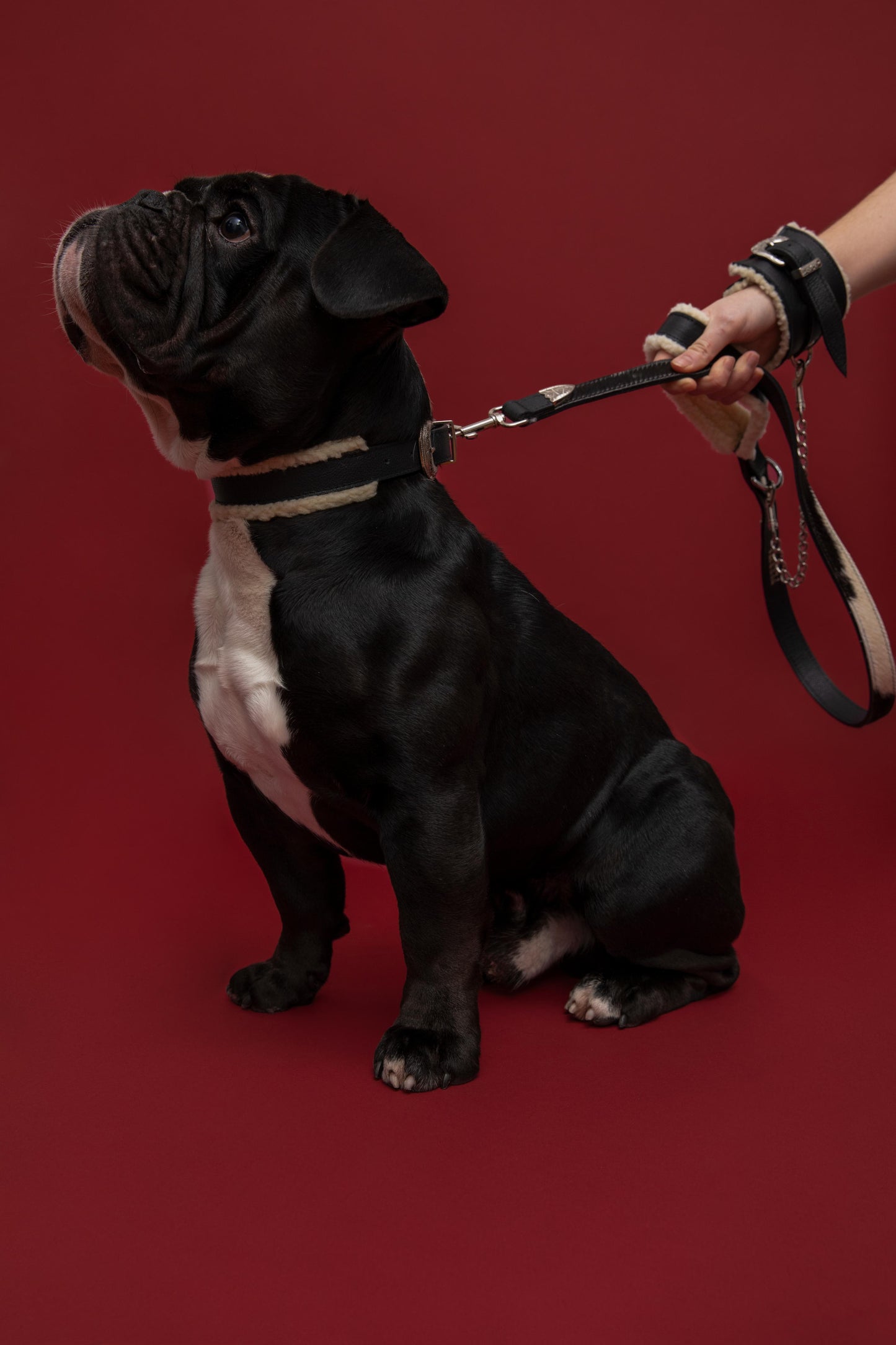 The Clingy Girl - Panther Black Shearling