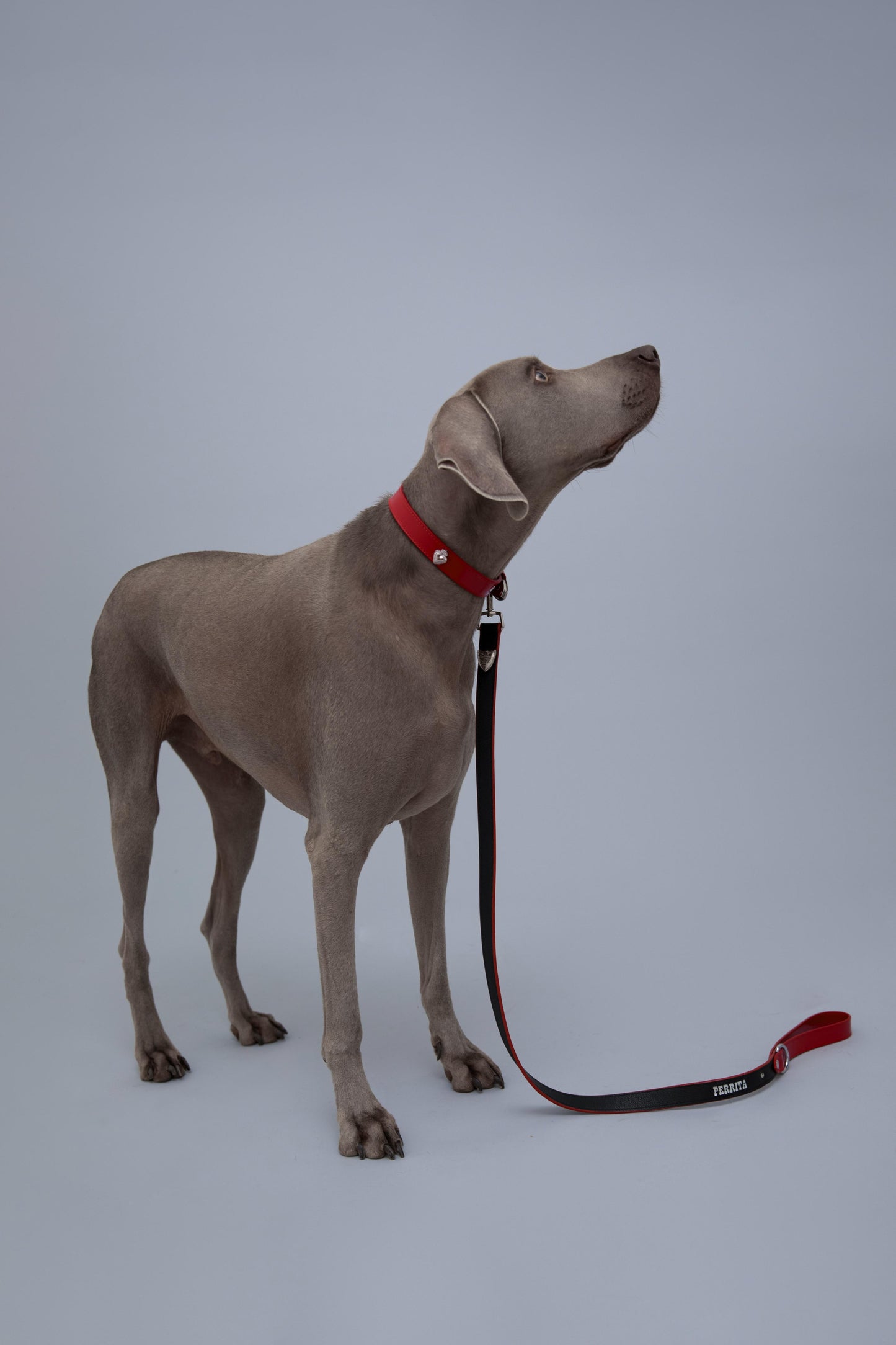The Cowgirl Collar - Siren Red