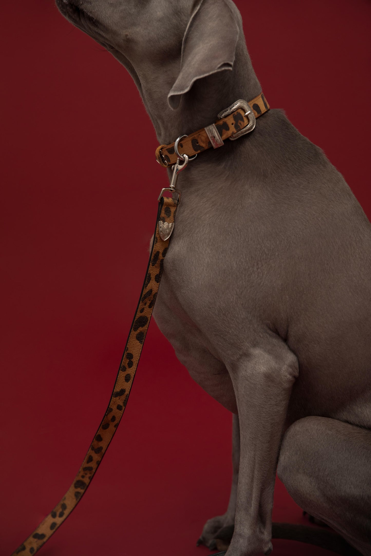 The Cowgirl Collar - Leopard