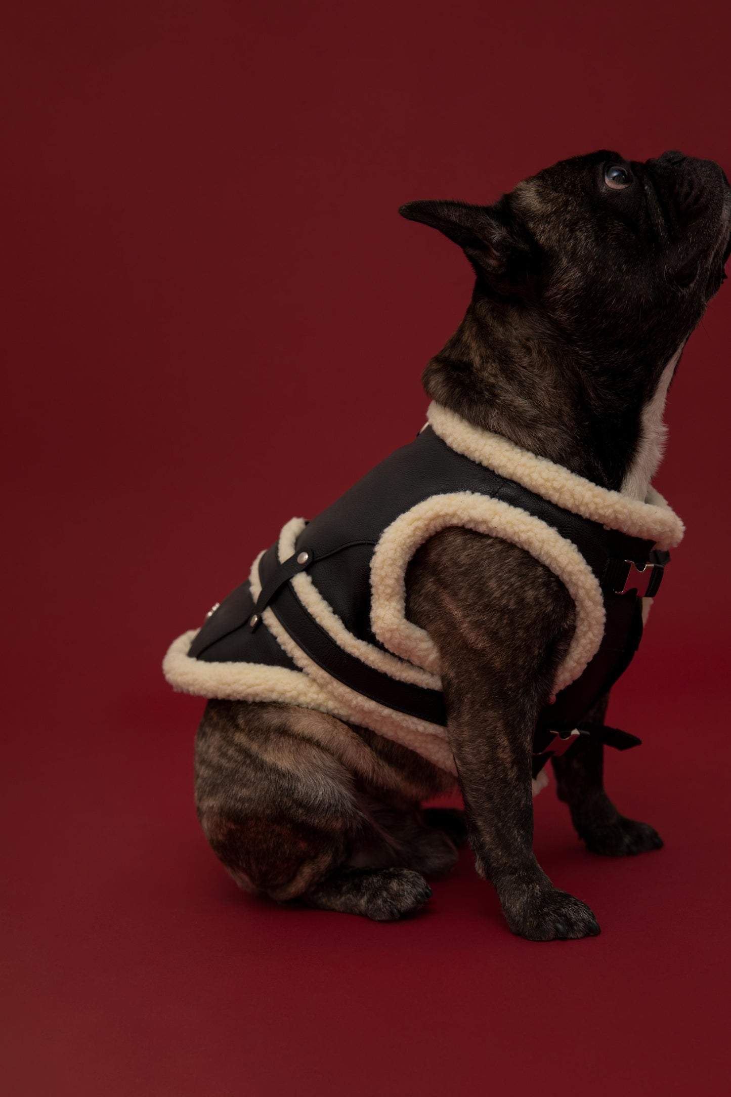 The Snowbaby - Panther Black & Shearling