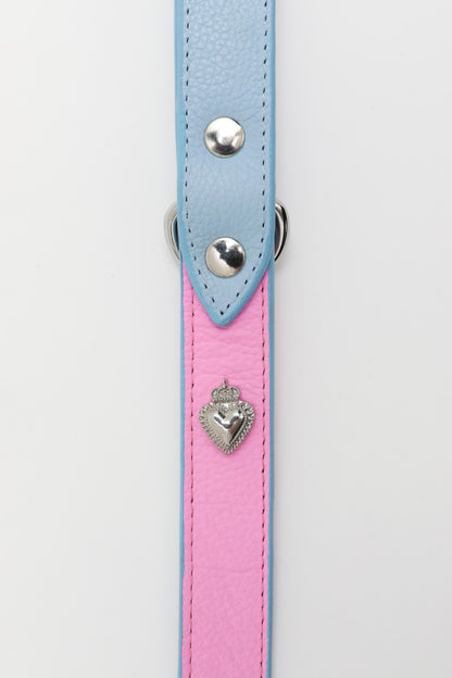 The Playgirl Leash - Barbie Pink & Baby Blue