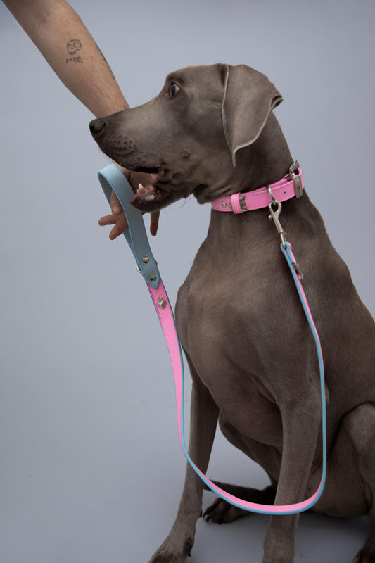 The Playgirl Leash - Barbie Pink & Baby Blue