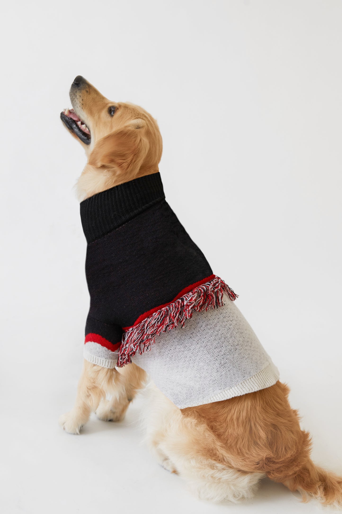Hot Girl Winter Sweater